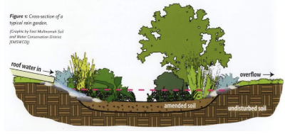 20250308raingarden 400x189