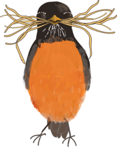 robinwithstraw3 af1 reb1 400x500