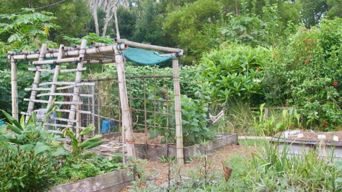 permaculture 700x490